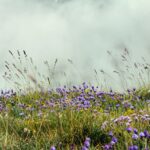 IVN-excursie in Het Hoge Broek