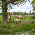 Overijsselse Week van het Platteland 2025