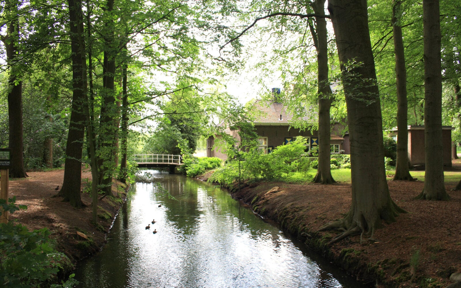 Raalte